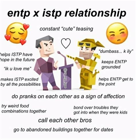 Pin By Nickgrayson On Photo Istp Relationships Mbti Relationships Entp