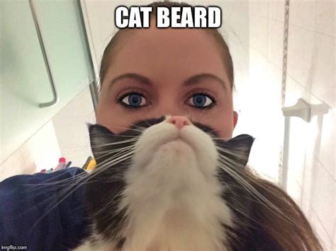 Cat Beard Imgflip