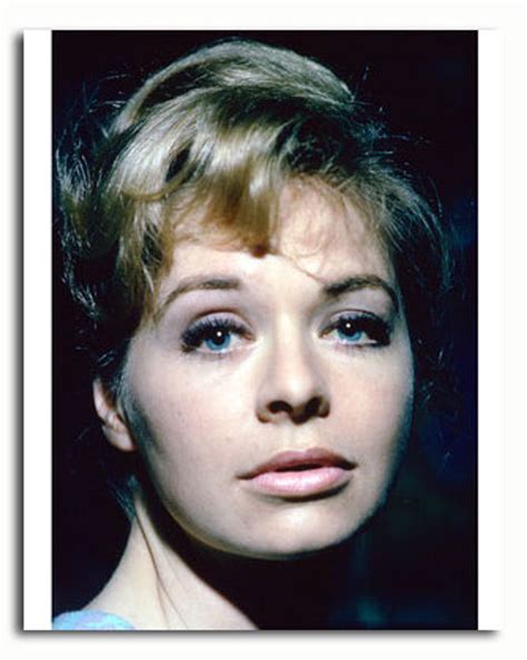 Ss3603886 Movie Picture Of Susannah York Buy Celebrity Photos And Posters At