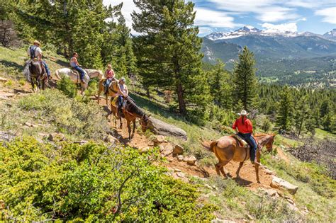 Estes Park Specialty Horseback Rides In The Rocky Mountain National Park