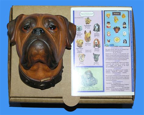 Vintage Bossons Head Rare Boxer Dog Excellent Condition With Etsy