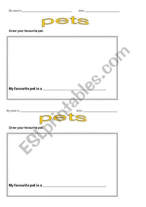 Draw Your Favourite Pet Esl Worksheet By Raquelota28