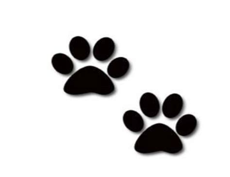 Puppy Paw Prints Free Download On Clipartmag