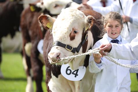 Balmoral Show 2022 Everything You Need To Know About 153rd Edition Of