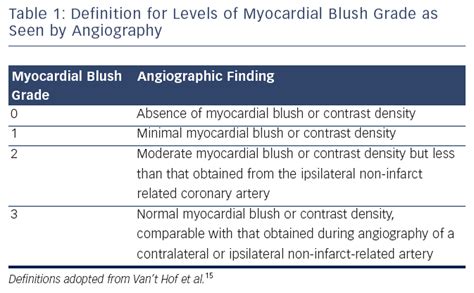 table  definition  levels  myocardial blush grade