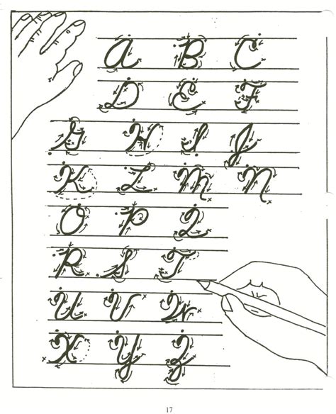 Cursive alphabet worksheets, practicing cursive strokes Calligraphy Alphabet : cursive calligraphy alphabet