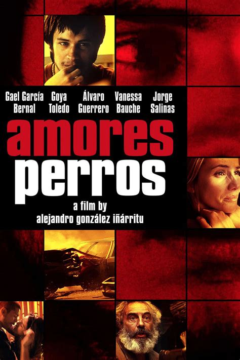 Amores Perros 2000 Posters — The Movie Database Tmdb