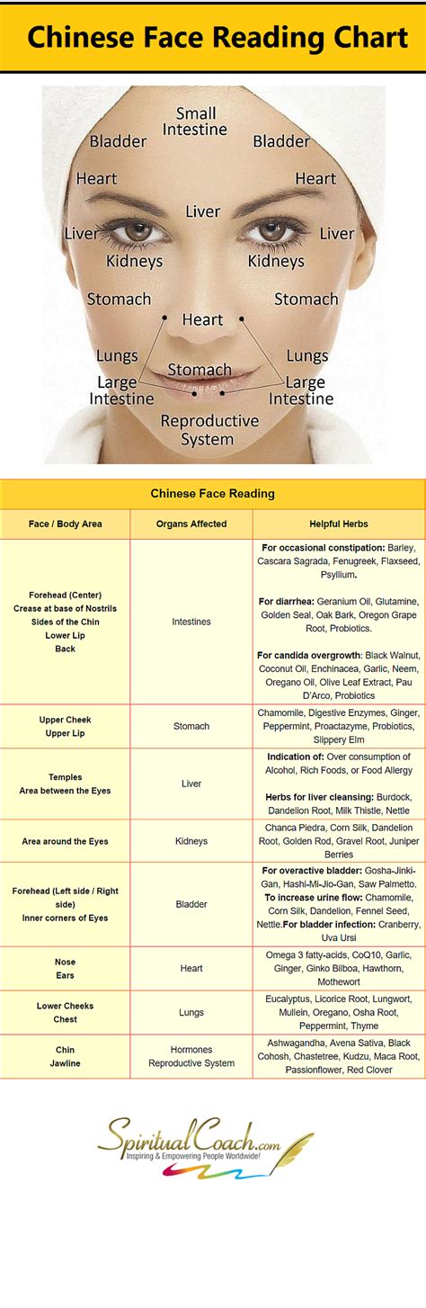Chinese Facial Reading Chart Learn Whats Going On Inside Your Body