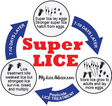 Super Lice What They Are How To Kill Them And How To Prevent Them
