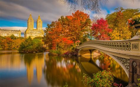 Wallpaper New York Central Park Bridge River Trees Autumn