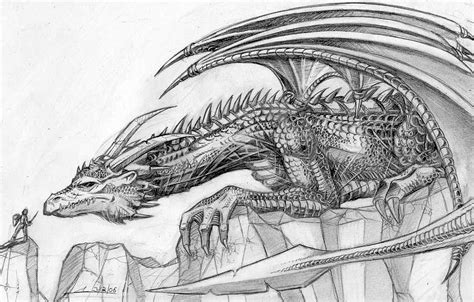 Cool Dragon Sketches At Explore Collection Of Cool