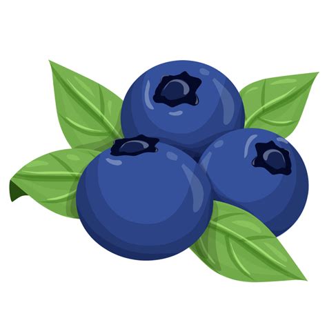 Blueberry Clipart Fruit Illustration 23254577 Png