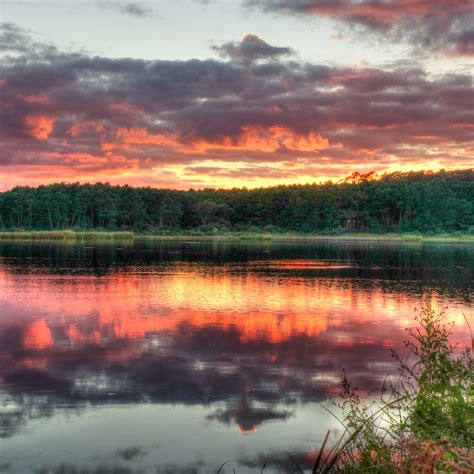 Download Wallpaper 2780x2780 Forest Trees Sunset Lake Reflection