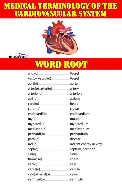 Medical Terminology Can Be A Lot To Learn However Building A