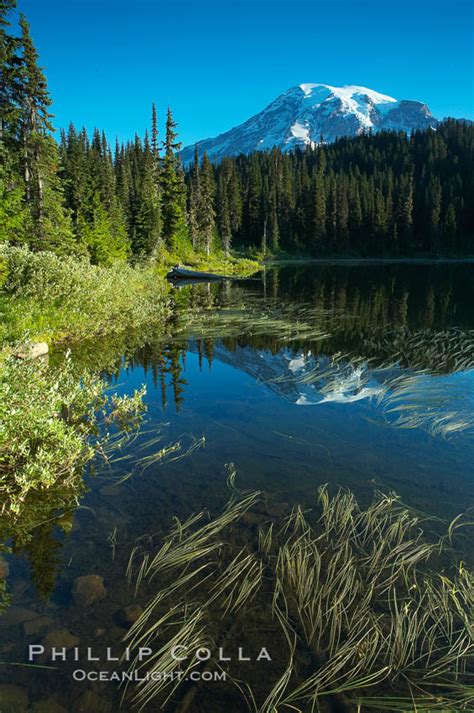Mount Rainier And Reflection Lake Mount Rainier National Park Washington