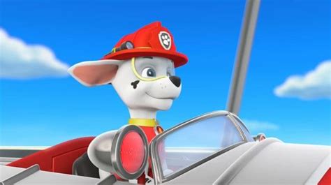 Video Paw Patrol Super Fan Sunday Paw Patrol Wiki Fandom Powered