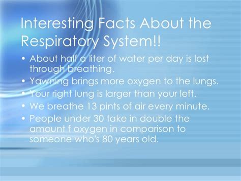 Respiratory System Short Notes