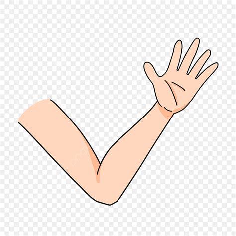 Light Skin Clipart Transparent Png Hd Light Skinned Cute Arm Clipart