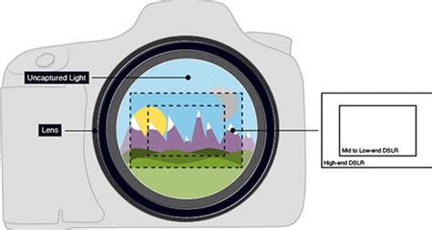 The Ultimate Guide To Crop Factor
