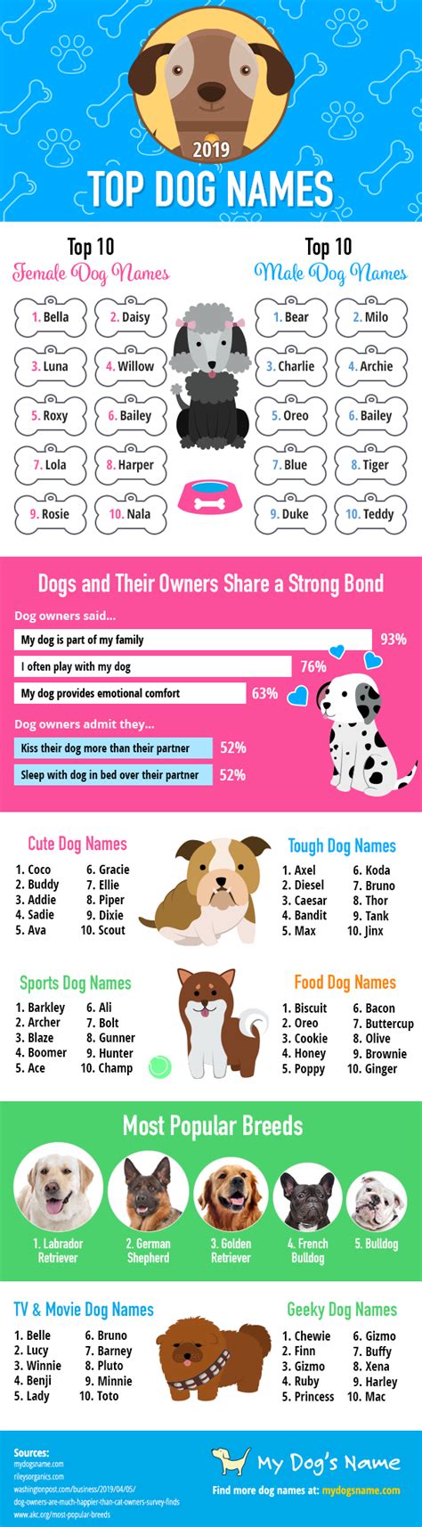 Top Dog Names Of 2019 Infographic The Most Popular Dog Names Top