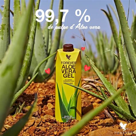 Forever living aloe vera gel is certified by international aloe science, halal, kosher, islamic seal and leaping bunny. Buy Forever Aloe Products | Forever Aloe Vera Gel ...