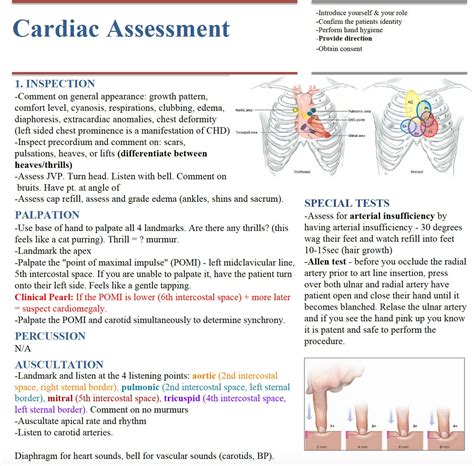 Cardiac Assessment Cheat Sheet Etsy Canada