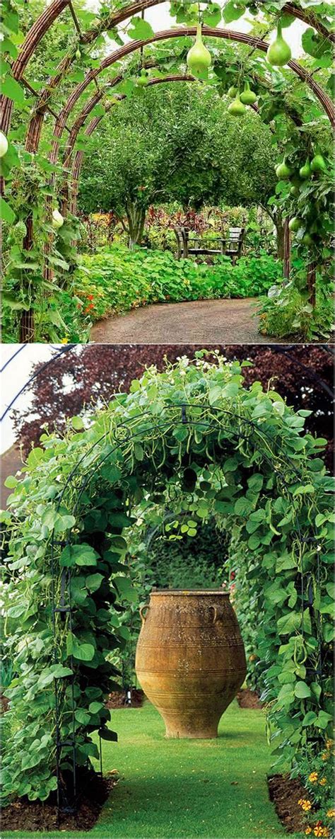 Make japanese bamboo fences & trellises | gardener's supply. 21 Easy DIY Garden Trellis Ideas & Vertical Growing ...