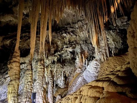 Mole Creek Caves King Solomons Cave Tour Discover Tasmania