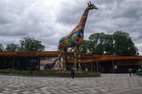 На данный момент в харькове функционируют только два крупных зоопарка и один небольшой контактный зоопарк. зоопарк киев - Путешествуй дешево!