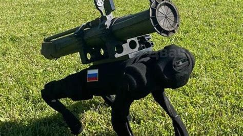 Russias ‘fake Robot Gun Dog — And The Real Armed Robots