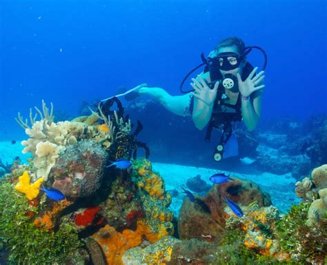 Dive Resort In Cozumel Presidente Intercontinental