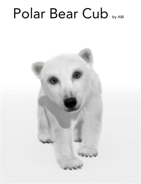 Polar Bear Dforce Pillow Topgfx Daz3d Renderosity Poser 3d Stuff
