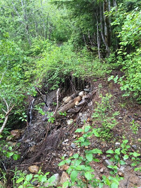 Quartz Creeklake Blethen — Washington Trails Association