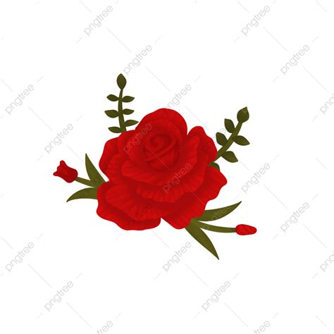 Gambar Bunga Mawar Png Vector Png Vector Download Fre