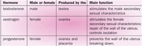 Hormones Uses In Reproduction Biology Gcse Revision