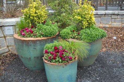 Container Garden Ideas Hgtv