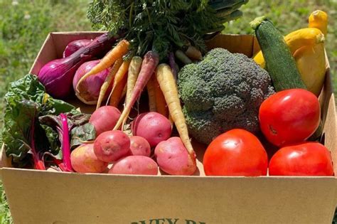 City council approves ordinance allowing expansion of local produce sales • St Pete Catalyst