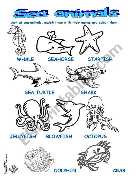 Sea Animals Part 1 Esl Worksheet By Zeberka