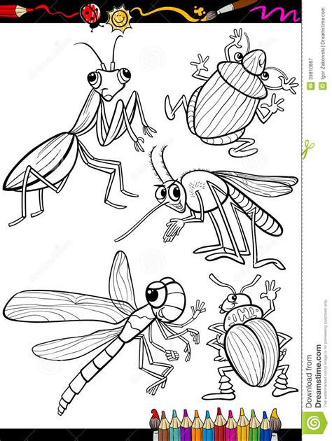 Cartoon Insects Set For Coloring Book Stock Vector Image
