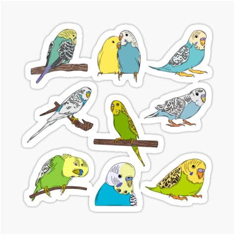 Cute Budgies Sticker For Sale By Kimb00p Redbubble