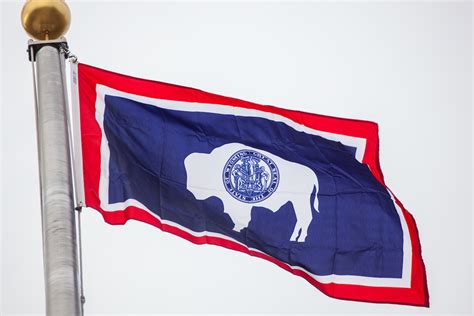 Wyoming State Flag Shortgo