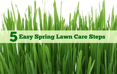 5 Easy Spring Lawn Care Steps Ilovemylawn Mommy Ramblings