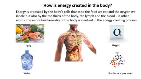 Step 6 Energy In The Body Be Younger