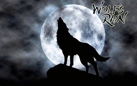 Wolfs Rain Wallpapers Wolf Background Images