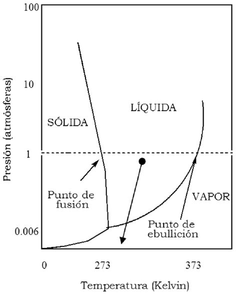 Diagrama Cualittivo De Fases Del Agua Download Scientific Diagram