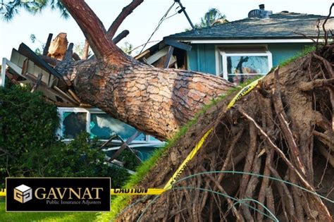 Handy Guide For Storm Damage Insurance Claims Gavnat
