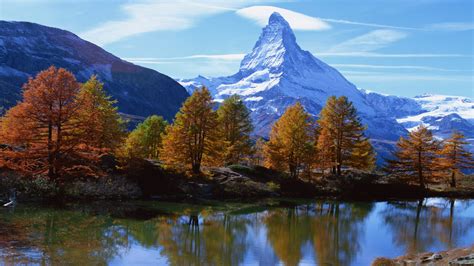 Landscape Mountain Rocky Alpine Peak With Snow Autumn Trees With Yellow