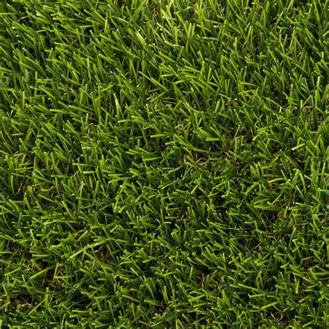 Astrolawn Bonita Artificial Grass Synthetic Lawn Turf Sold By 15 Ft