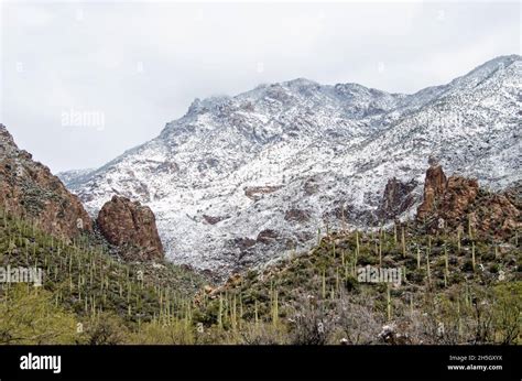 Snow In The Sonoran Desert Stock Photo Alamy