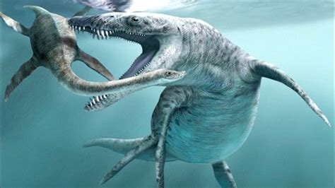 Top 10 Biggest Sea Dinosaurs Youtube